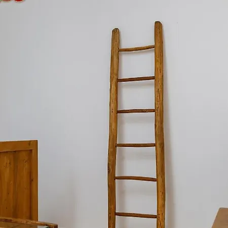 Vendégház 44 Szászfehéregyháza